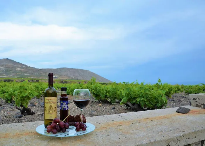 Apartamento Vineyards Hill Megalochori (Santorini)