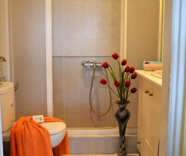 Apartamento Vineyards Hill Megalochori (Santorini)