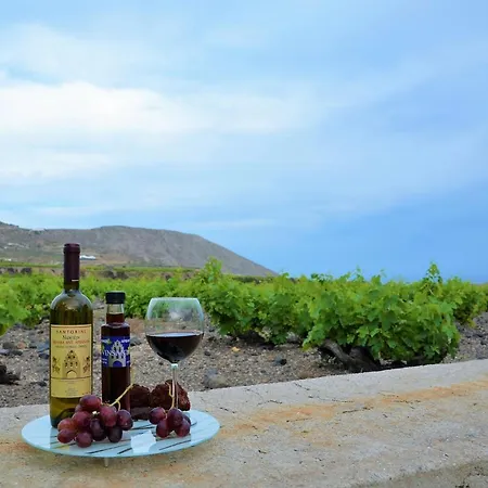 Apartment Vineyards Hill Megalochori (Santorini)