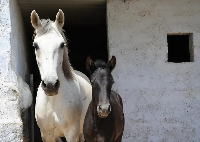 아파트 Vineyards Hill *