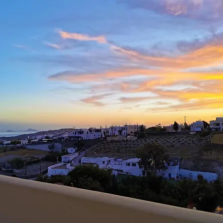 Daire Vineyards Hill