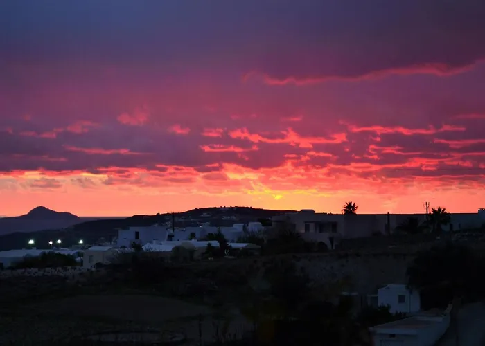 Vineyards Hill * メガロホリ